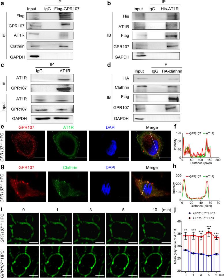 https://cdn.ncbi.nlm.nih.gov/pmc/blobs/c950/11814420/faafd64fc1c5/43556_2025_250_Fig3_HTML.jpg