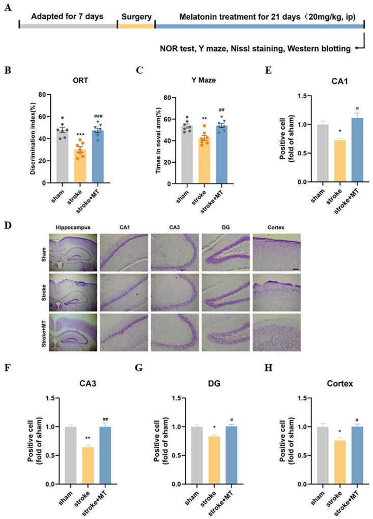 https://cdn.ncbi.nlm.nih.gov/pmc/blobs/c951/11119717/f084f97bf138/cells-13-00872-g005.jpg