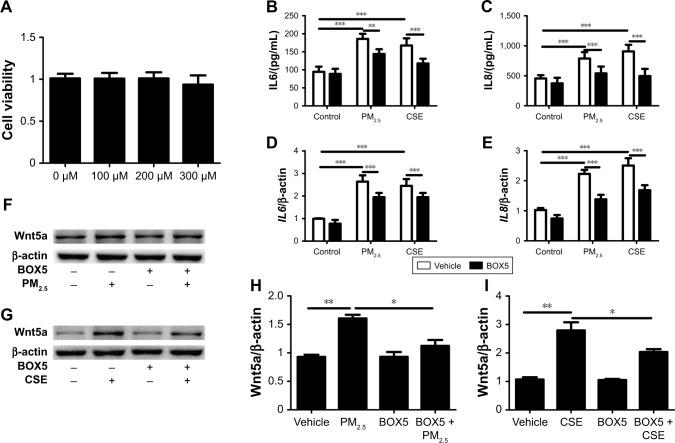 https://cdn.ncbi.nlm.nih.gov/pmc/blobs/c951/6512785/6d495906f3d2/copd-14-979Fig5.jpg