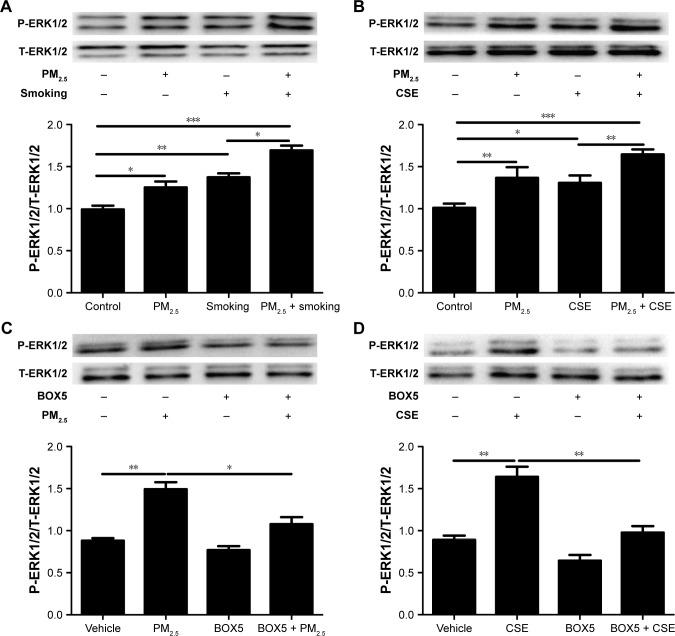https://cdn.ncbi.nlm.nih.gov/pmc/blobs/c951/6512785/c0a805b015e9/copd-14-979Fig6.jpg