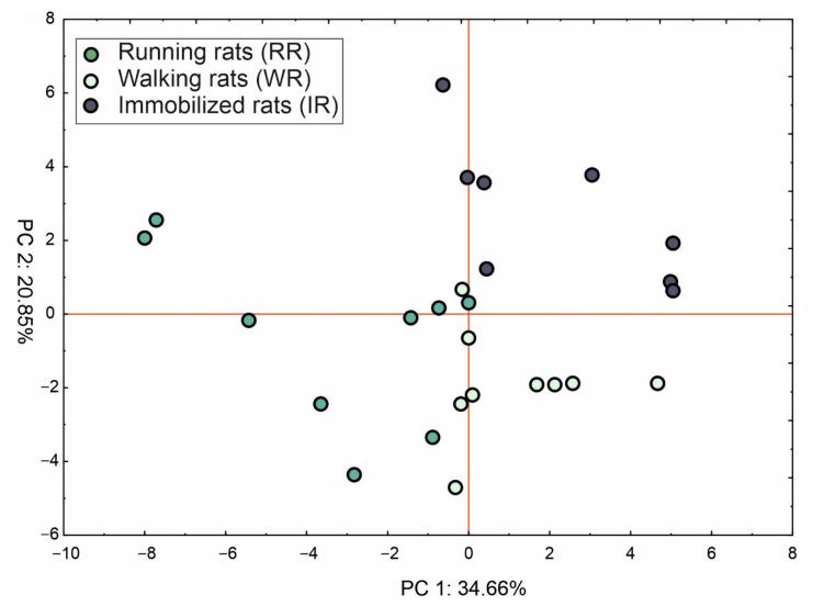 https://cdn.ncbi.nlm.nih.gov/pmc/blobs/c951/9960538/ffcc63b69ec9/ijms-24-03540-g003.jpg