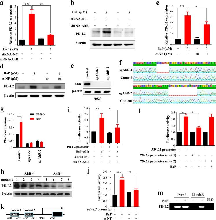 https://cdn.ncbi.nlm.nih.gov/pmc/blobs/c952/11266262/d0dc7edd1622/10565_2024_9892_Fig6_HTML.jpg