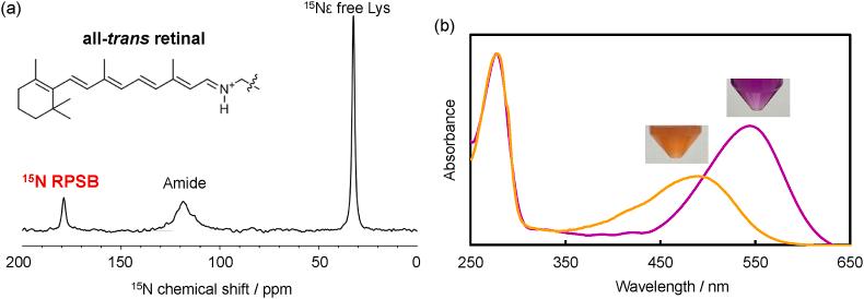 https://cdn.ncbi.nlm.nih.gov/pmc/blobs/c952/12406568/d4f0794cc7ec/gr2.jpg