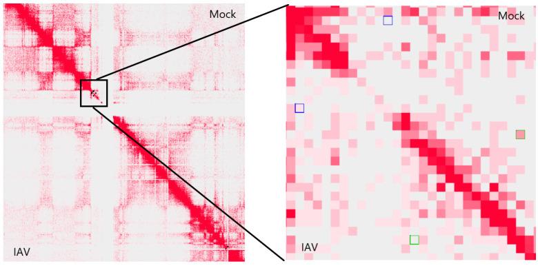 https://cdn.ncbi.nlm.nih.gov/pmc/blobs/c955/11353334/4e725d653f00/genes-15-00988-g001.jpg