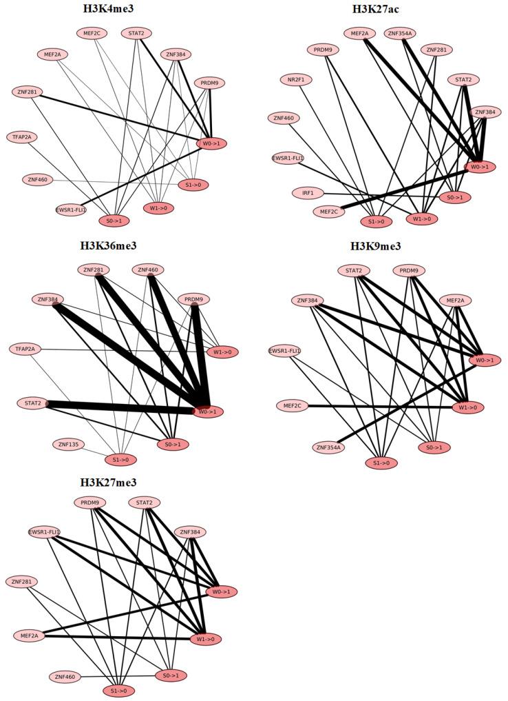 https://cdn.ncbi.nlm.nih.gov/pmc/blobs/c955/11353334/efadd2a92d70/genes-15-00988-g005.jpg