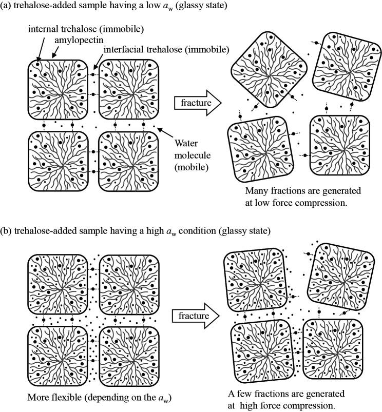 https://cdn.ncbi.nlm.nih.gov/pmc/blobs/c955/8611405/9933c21e6878/JAG-68-69-g07.jpg