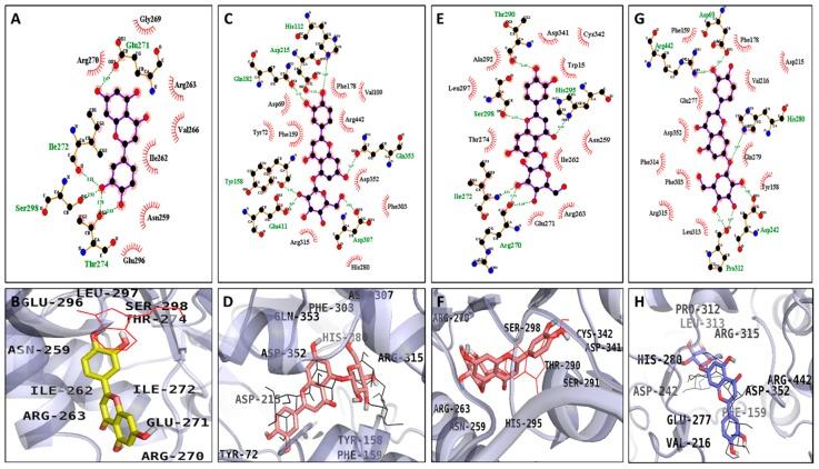 https://cdn.ncbi.nlm.nih.gov/pmc/blobs/c957/6385118/1e6de92302fd/molecules-24-00649-g006.jpg