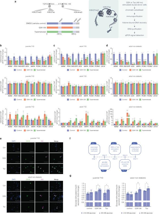 https://cdn.ncbi.nlm.nih.gov/pmc/blobs/c959/10757994/6a78456a40a4/41392_2023_1707_Fig2_HTML.jpg