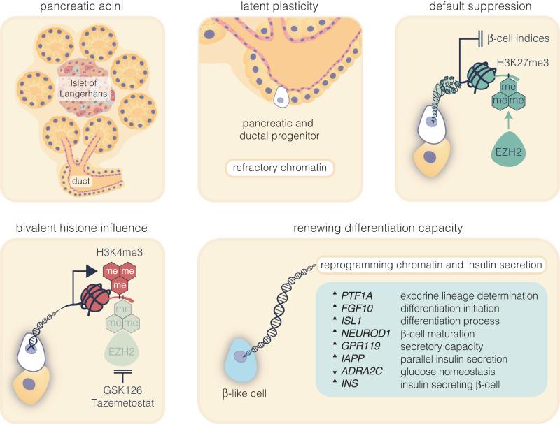 https://cdn.ncbi.nlm.nih.gov/pmc/blobs/c959/10757994/f61988cffe45/41392_2023_1707_Fig5_HTML.jpg