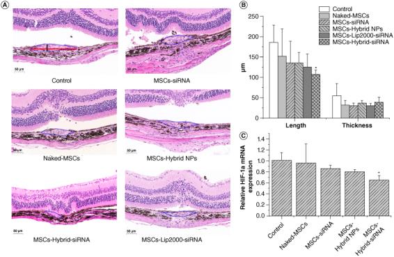 https://cdn.ncbi.nlm.nih.gov/pmc/blobs/c959/11485800/074fea3782ab/INNM_A_2393075_F0008_C.jpg