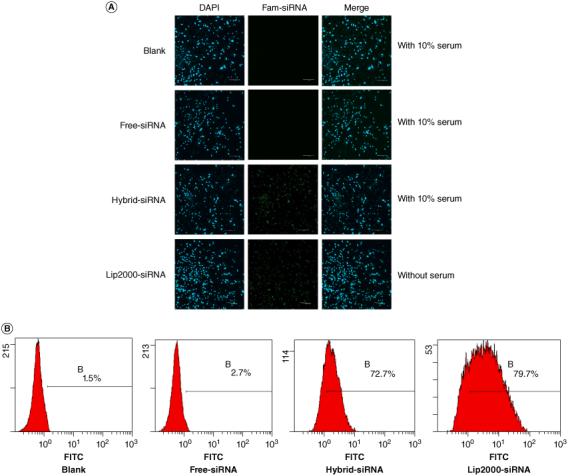 https://cdn.ncbi.nlm.nih.gov/pmc/blobs/c959/11485800/389c2ecc7843/INNM_A_2393075_F0004_C.jpg
