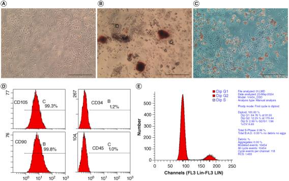 https://cdn.ncbi.nlm.nih.gov/pmc/blobs/c959/11485800/406752b78059/INNM_A_2393075_F0002_C.jpg