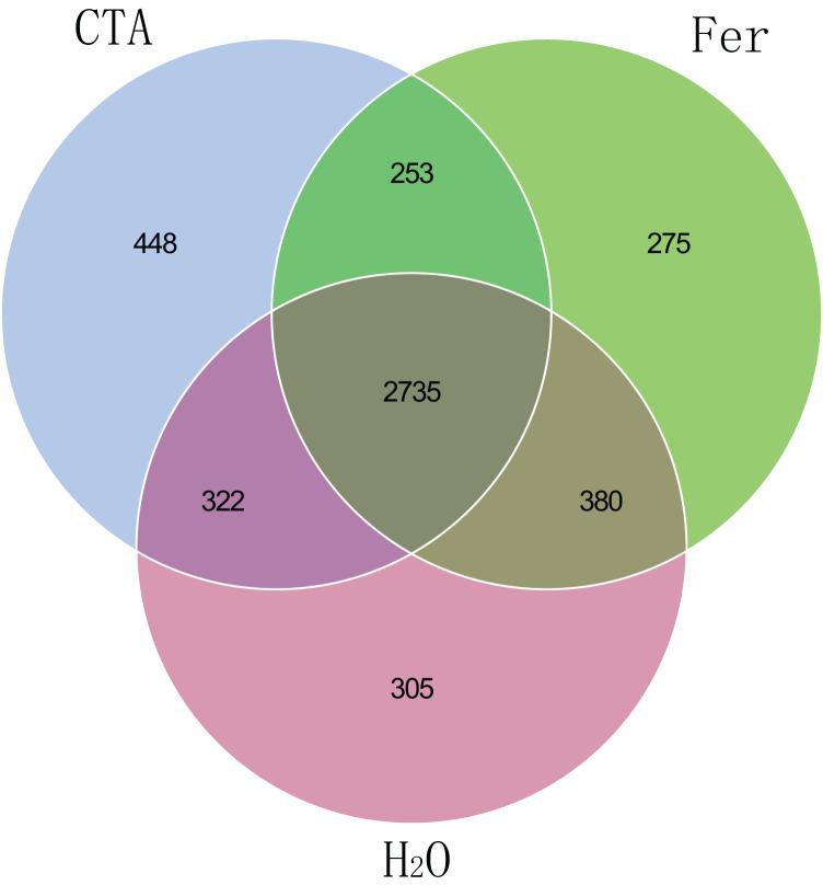 https://cdn.ncbi.nlm.nih.gov/pmc/blobs/c95b/10349559/339055701581/peerj-11-15652-g006.jpg