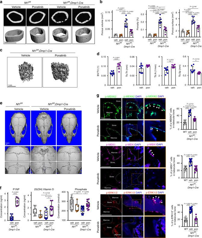 https://cdn.ncbi.nlm.nih.gov/pmc/blobs/c95c/7658220/3e3249403825/41467_2020_19555_Fig4_HTML.jpg