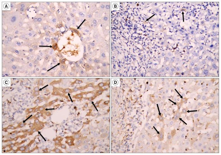 https://cdn.ncbi.nlm.nih.gov/pmc/blobs/c95d/4961109/3a53a7844faf/ijsc-09-096f5.jpg