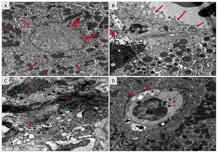 https://cdn.ncbi.nlm.nih.gov/pmc/blobs/c95d/4961109/a872088ee6d3/ijsc-09-096f7.jpg