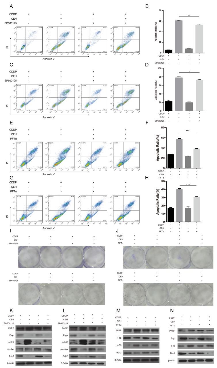 https://cdn.ncbi.nlm.nih.gov/pmc/blobs/c95d/5762312/bb5d3c043283/oncotarget-08-111144-g005.jpg