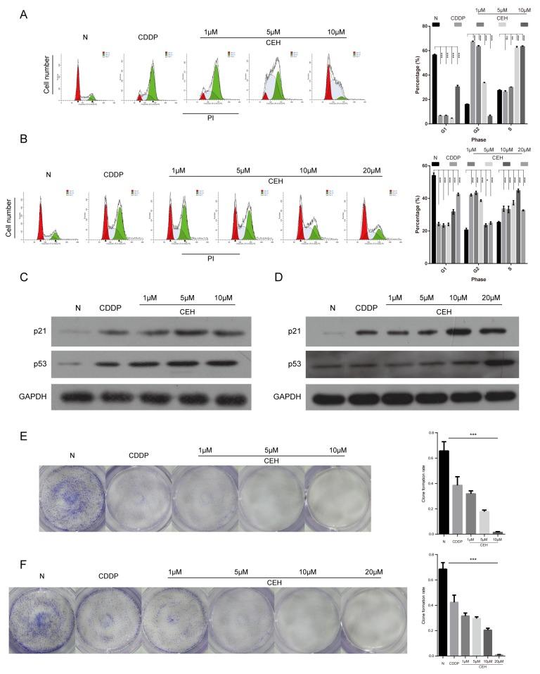 https://cdn.ncbi.nlm.nih.gov/pmc/blobs/c95d/5762312/c2ff447cf9b0/oncotarget-08-111144-g002.jpg