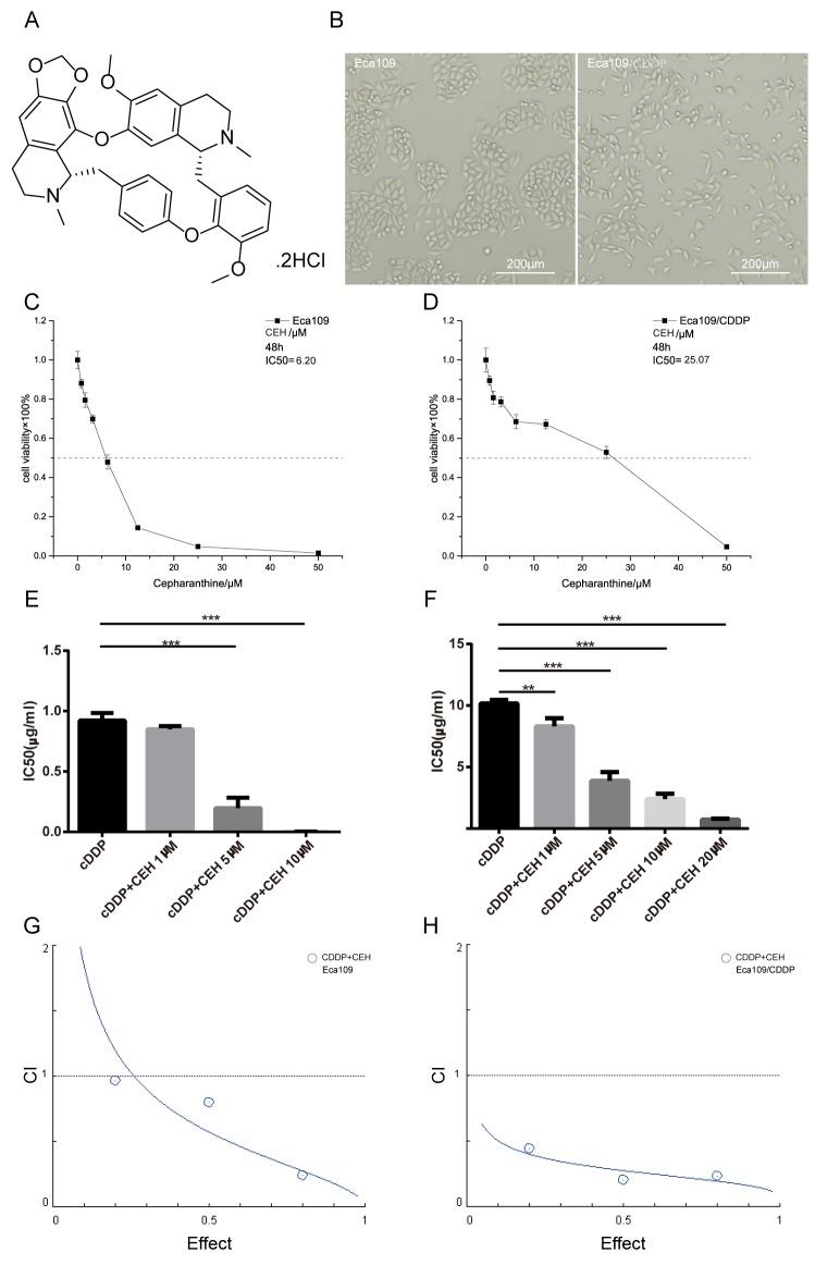 https://cdn.ncbi.nlm.nih.gov/pmc/blobs/c95d/5762312/f8c867caabdd/oncotarget-08-111144-g001.jpg