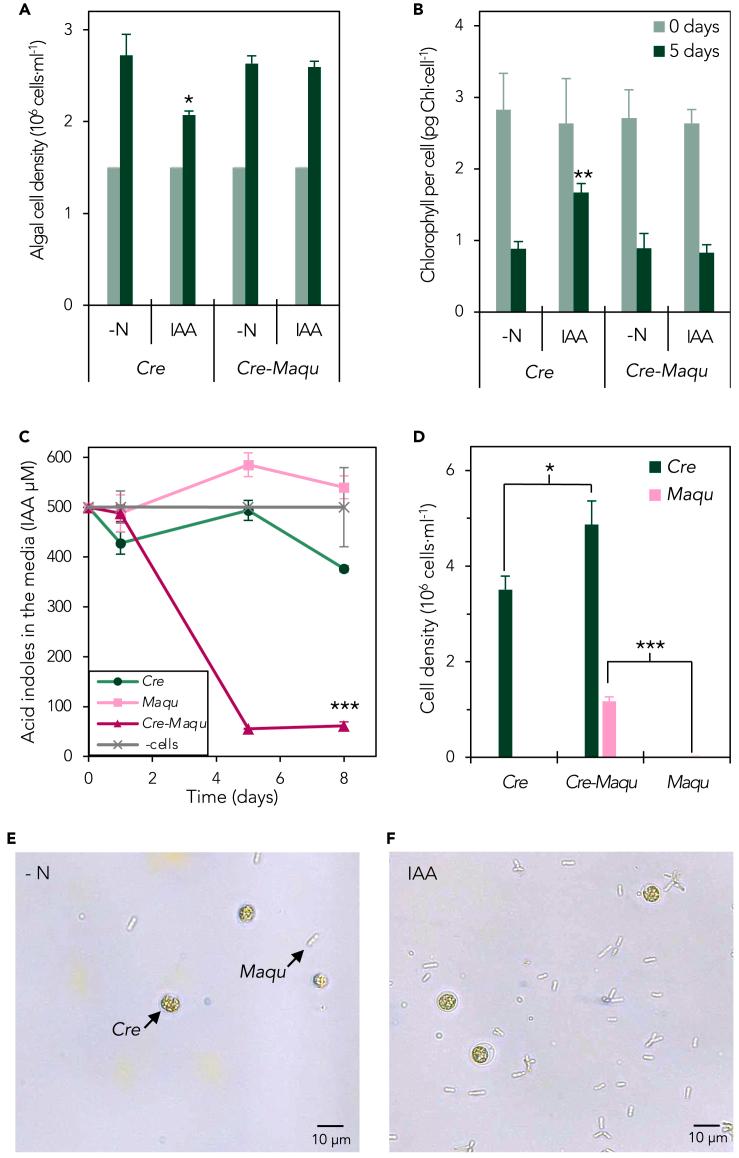 https://cdn.ncbi.nlm.nih.gov/pmc/blobs/c960/10805672/8e59dbd7f4ea/gr3.jpg