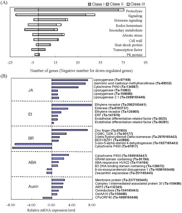 https://cdn.ncbi.nlm.nih.gov/pmc/blobs/c960/3236209/afff968b396d/pone.0028810.g003.jpg