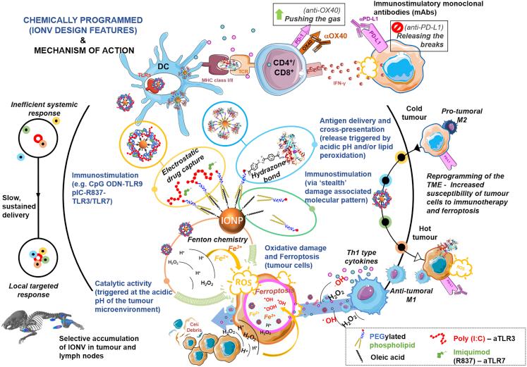 https://cdn.ncbi.nlm.nih.gov/pmc/blobs/c961/7490994/51c3a2cf6b4a/sc1.jpg