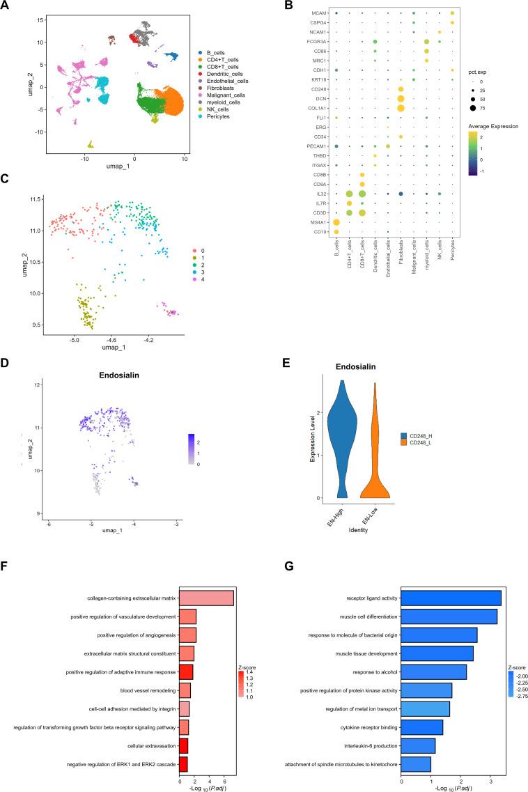 https://cdn.ncbi.nlm.nih.gov/pmc/blobs/c965/12331472/0536e92018b7/fonc-15-1528288-g001.jpg