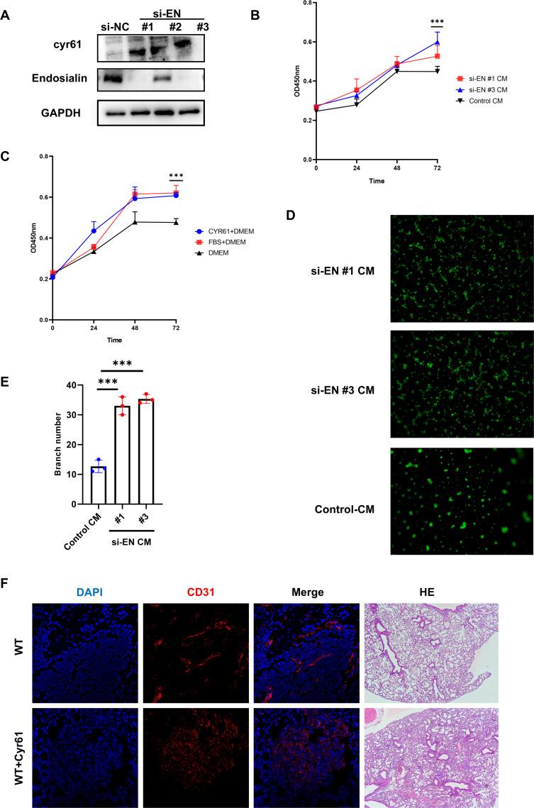 https://cdn.ncbi.nlm.nih.gov/pmc/blobs/c965/12331472/96ee5233b691/fonc-15-1528288-g005.jpg