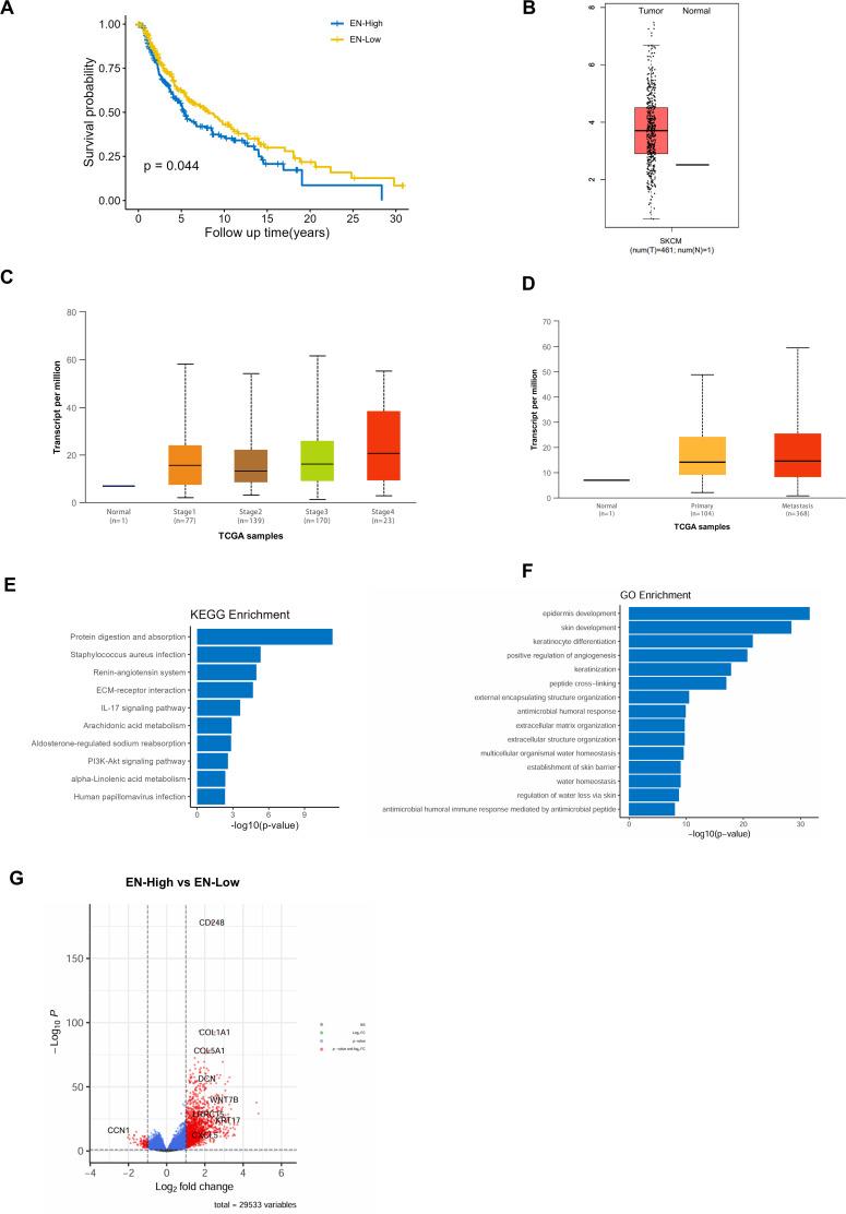 https://cdn.ncbi.nlm.nih.gov/pmc/blobs/c965/12331472/c36e10a3682a/fonc-15-1528288-g002.jpg