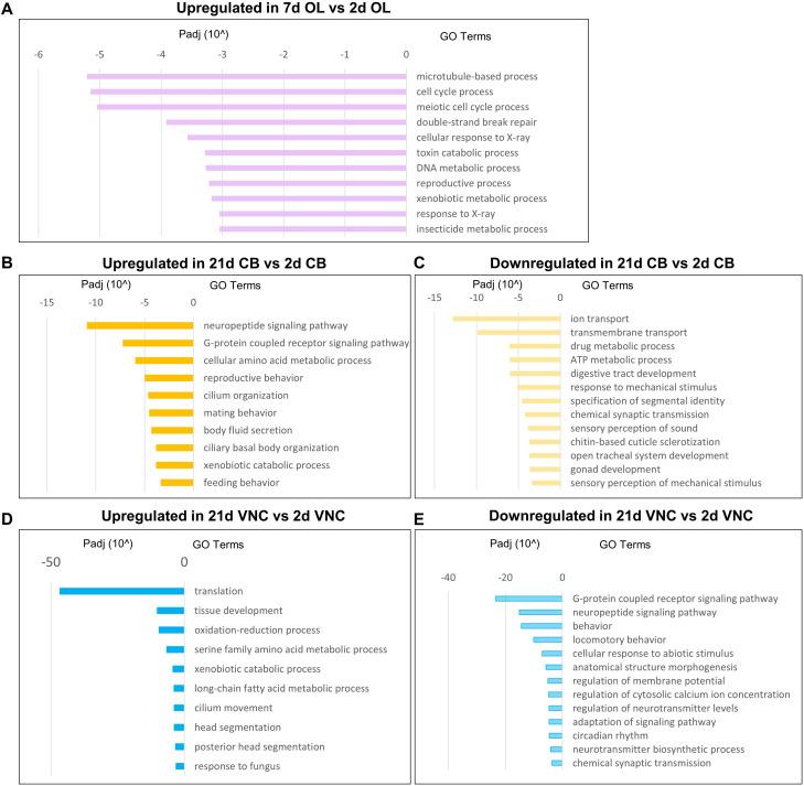 https://cdn.ncbi.nlm.nih.gov/pmc/blobs/c967/7447450/aed82d8e684d/elife-54385-fig5-figsupp1.jpg