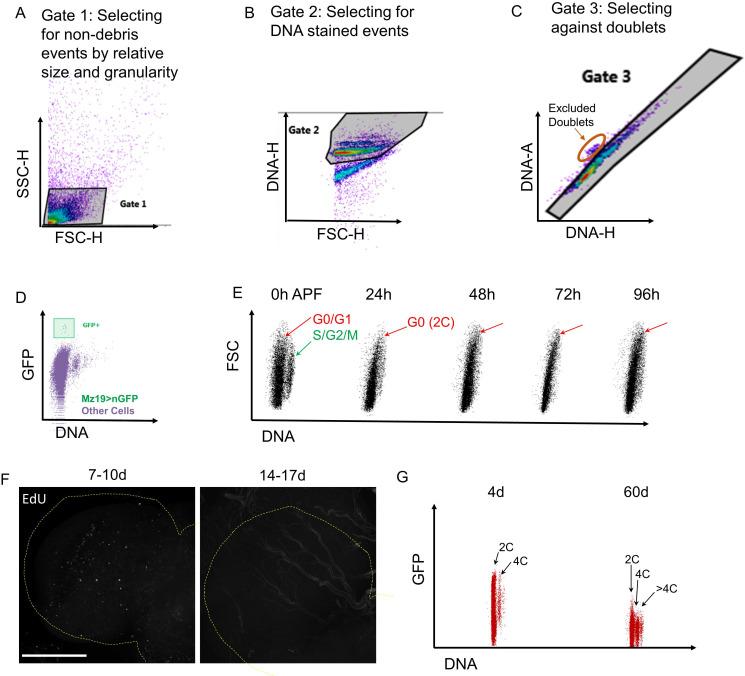 https://cdn.ncbi.nlm.nih.gov/pmc/blobs/c967/7447450/c5f8efeb50b1/elife-54385-fig1-figsupp1.jpg