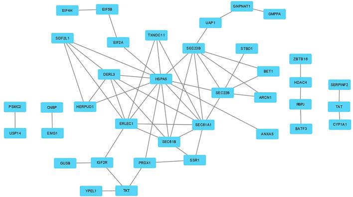 https://cdn.ncbi.nlm.nih.gov/pmc/blobs/c968/10185895/465253801c28/fgene-14-1102136-g002.jpg