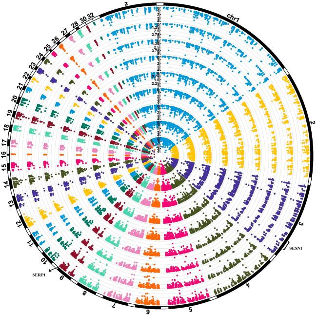 https://cdn.ncbi.nlm.nih.gov/pmc/blobs/c968/10185895/56b10f6ea373/fgene-14-1102136-g008.jpg