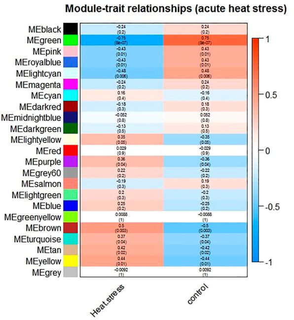 https://cdn.ncbi.nlm.nih.gov/pmc/blobs/c968/10185895/7c8c3c2a6ca9/fgene-14-1102136-g005.jpg