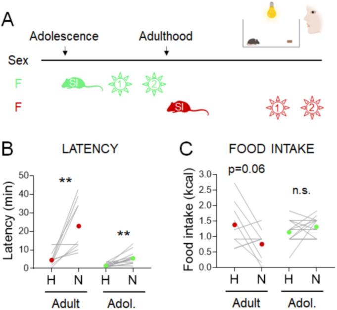 https://cdn.ncbi.nlm.nih.gov/pmc/blobs/c968/8846584/0b213eff5fa4/elife-70271-fig3-figsupp1.jpg