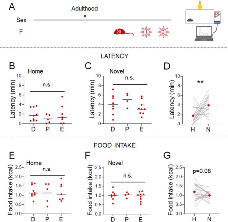 https://cdn.ncbi.nlm.nih.gov/pmc/blobs/c968/8846584/293e385ff2df/elife-70271-fig2.jpg