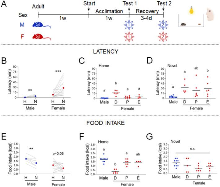 https://cdn.ncbi.nlm.nih.gov/pmc/blobs/c968/8846584/531c51b9885b/elife-70271-fig1.jpg
