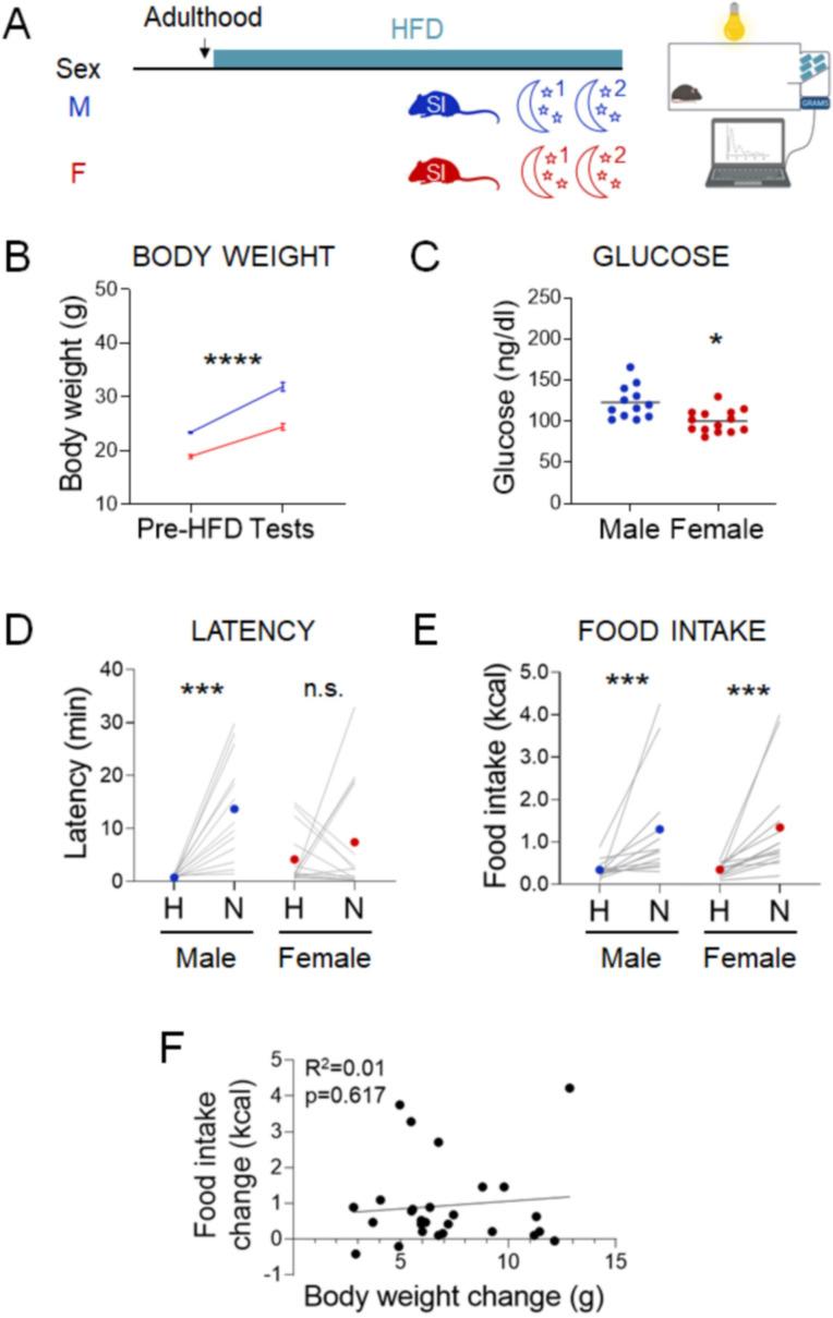 https://cdn.ncbi.nlm.nih.gov/pmc/blobs/c968/8846584/74aaf3f78439/elife-70271-fig5.jpg