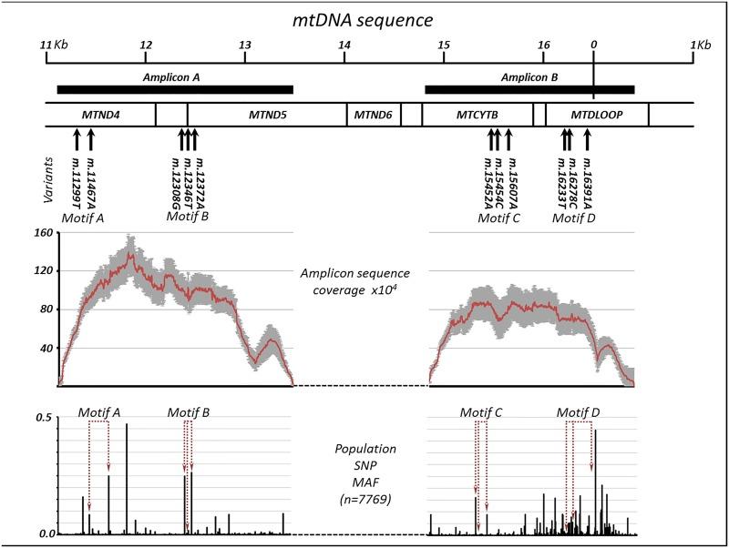 https://cdn.ncbi.nlm.nih.gov/pmc/blobs/c969/4431825/e93da3709fd6/pgen.1005040.g001.jpg