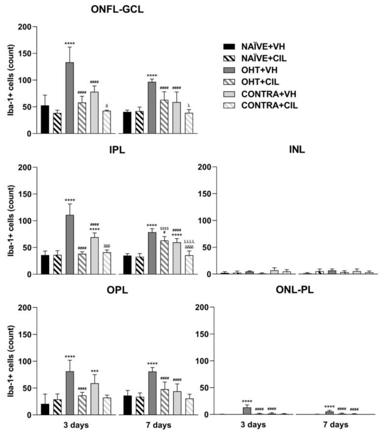 https://cdn.ncbi.nlm.nih.gov/pmc/blobs/c96a/10970106/33a56992385b/ijms-25-03115-g009.jpg