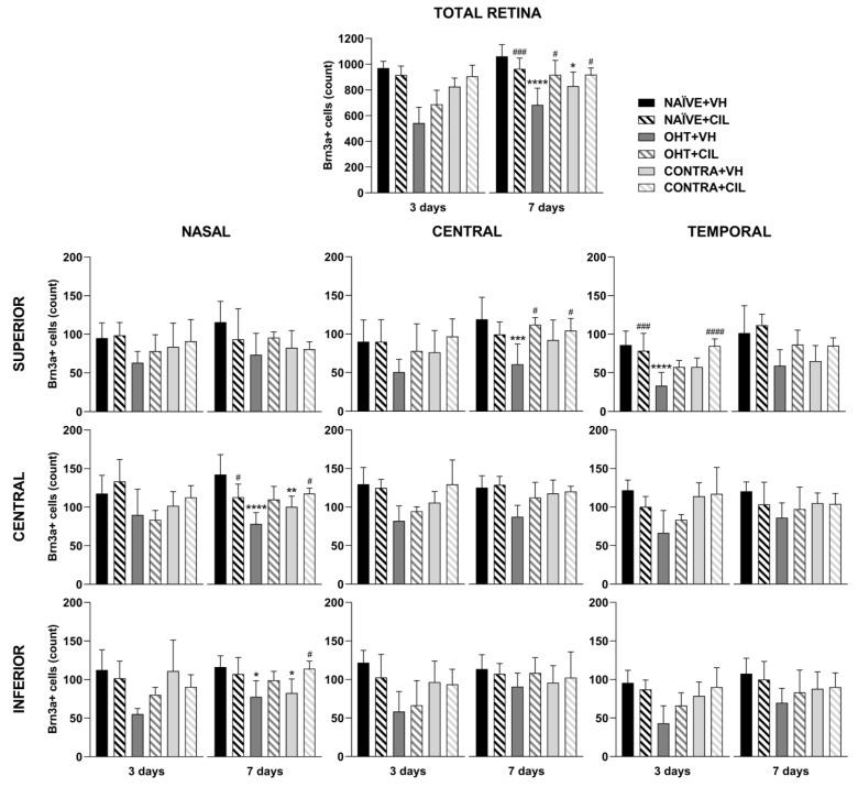 https://cdn.ncbi.nlm.nih.gov/pmc/blobs/c96a/10970106/a480f1e2e550/ijms-25-03115-g002.jpg