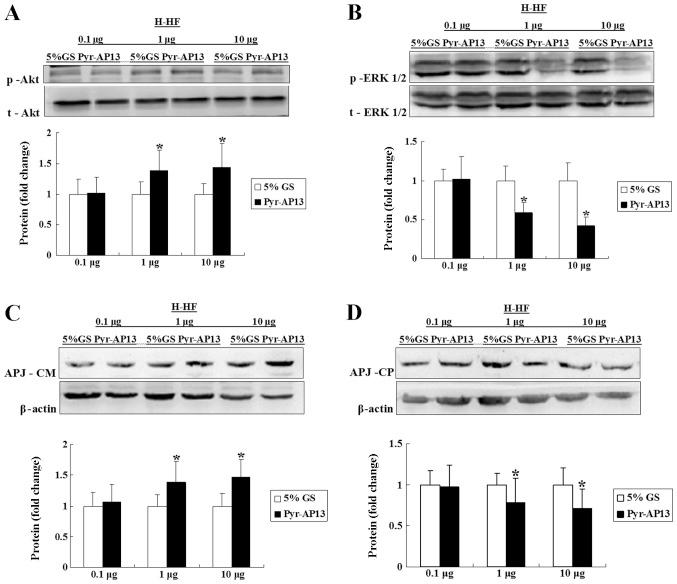 https://cdn.ncbi.nlm.nih.gov/pmc/blobs/c96a/4121352/3d3223527e45/IJMM-34-03-0756-g06.jpg