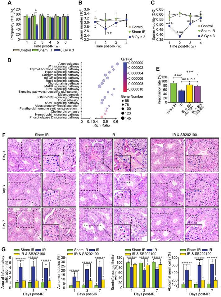 https://cdn.ncbi.nlm.nih.gov/pmc/blobs/c96a/8058717/11ab308ee51f/thnov11p5742g001.jpg