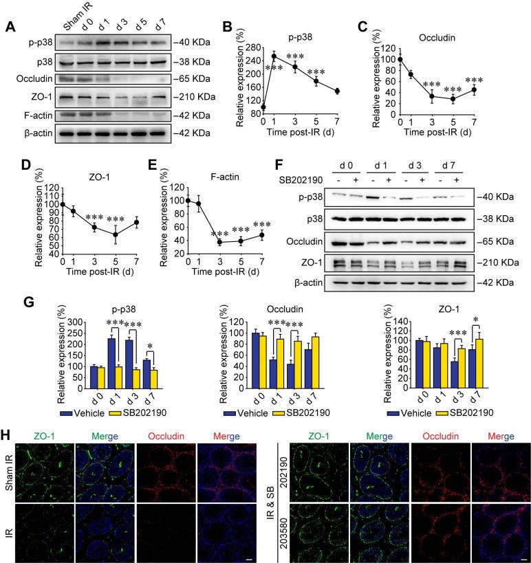 https://cdn.ncbi.nlm.nih.gov/pmc/blobs/c96a/8058717/3925d0cfe4e1/thnov11p5742g002.jpg