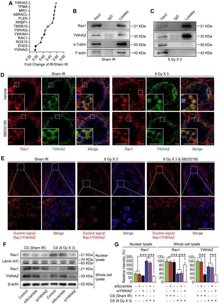 https://cdn.ncbi.nlm.nih.gov/pmc/blobs/c96a/8058717/47be88cfbf69/thnov11p5742g005.jpg