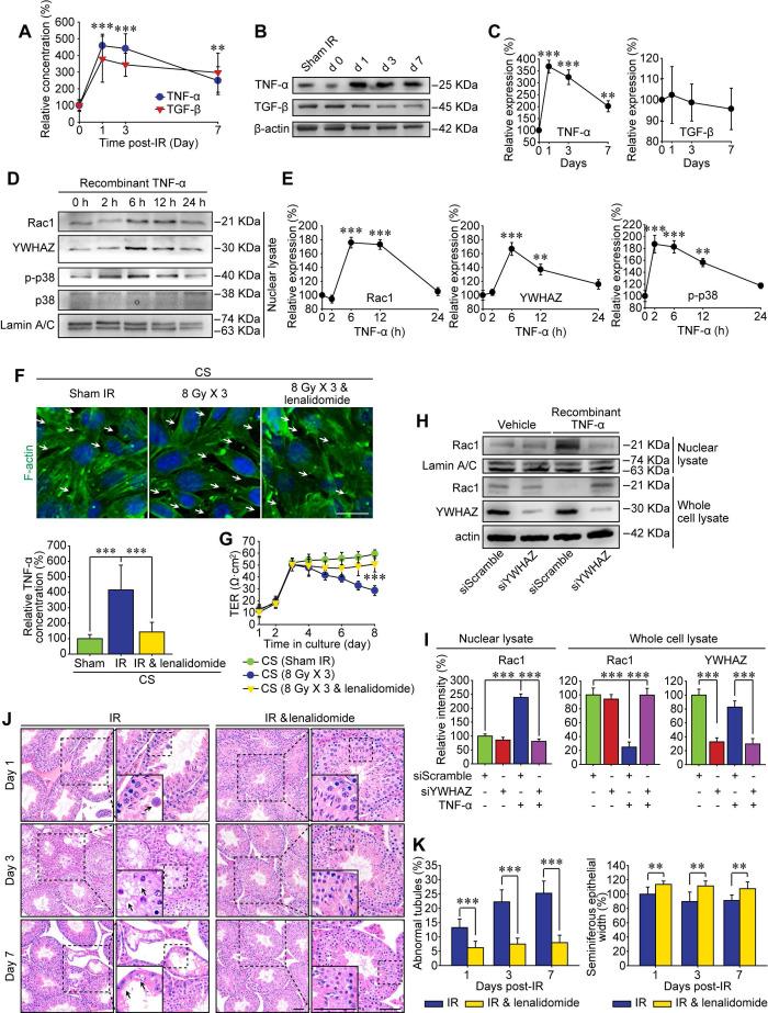 https://cdn.ncbi.nlm.nih.gov/pmc/blobs/c96a/8058717/678300676ce1/thnov11p5742g006.jpg
