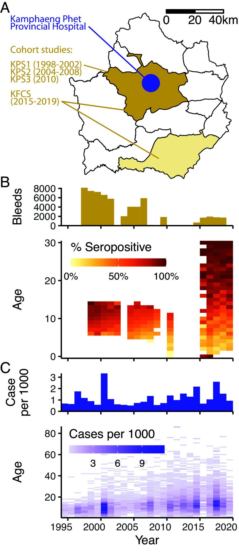 https://cdn.ncbi.nlm.nih.gov/pmc/blobs/c96d/11725863/7707d9b010f4/pnas.2411768121fig02.jpg
