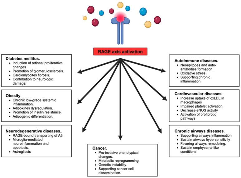 https://cdn.ncbi.nlm.nih.gov/pmc/blobs/c96f/11048448/c14a0e5dc458/biomolecules-14-00412-g002.jpg