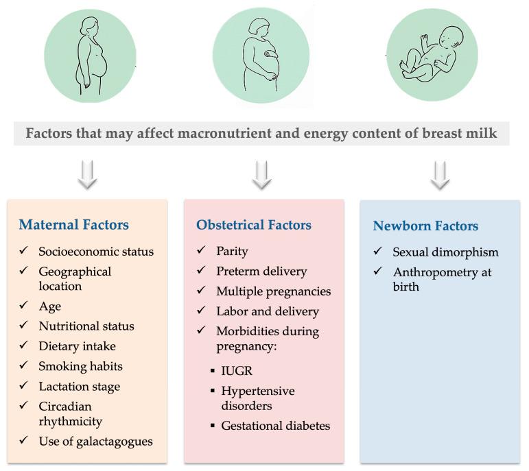 https://cdn.ncbi.nlm.nih.gov/pmc/blobs/c96f/12348597/b7cecf40f8f9/nutrients-17-02503-g001.jpg
