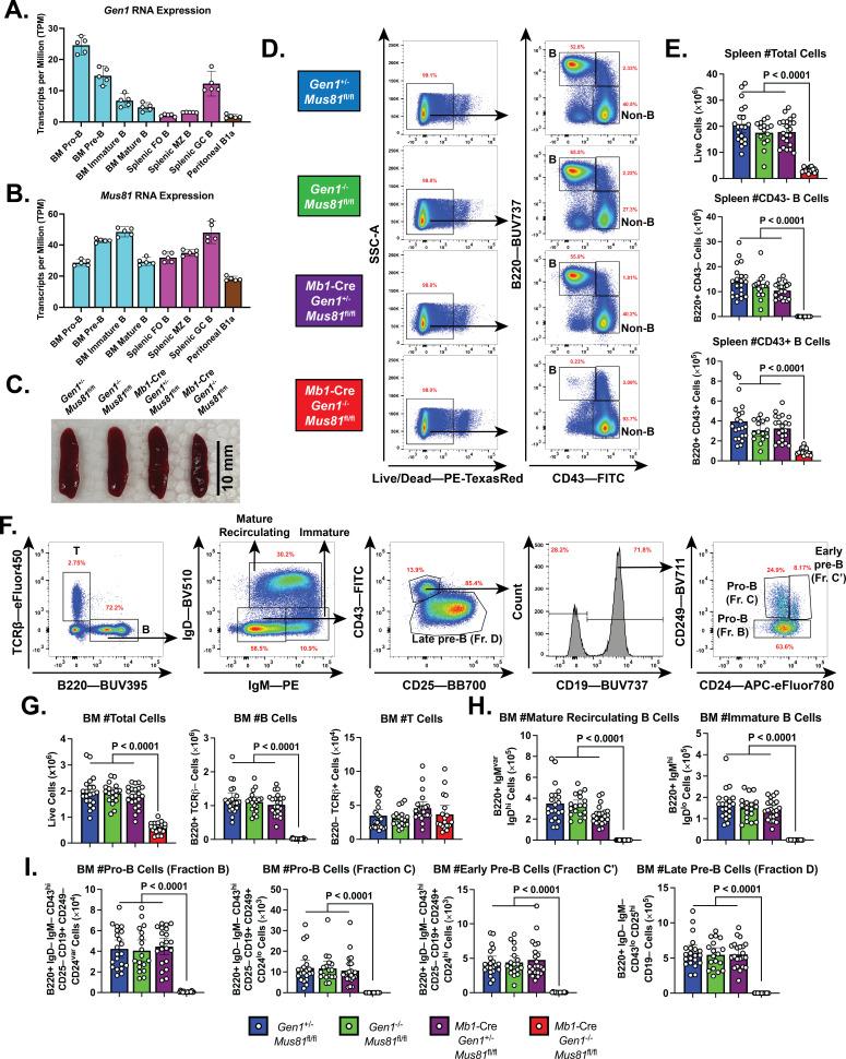 https://cdn.ncbi.nlm.nih.gov/pmc/blobs/c96f/9581529/cacd0fb60eba/elife-77073-fig1.jpg